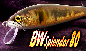 BW Splendor80(BWスプレンダー80)