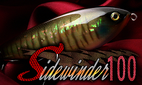 Sidewinder 100(サイドワインダー100)